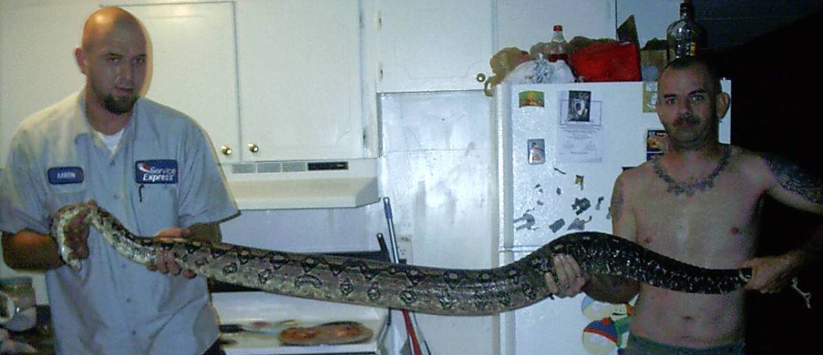 Thor stretched out