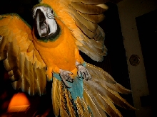 mellow in flight