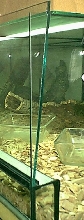 front door baby cage