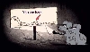 You are here