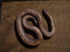Not so good shot of my Calabar