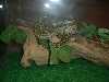 My New Baby