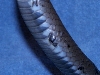 BellyWound_01_021206
