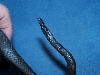 Tail_021206