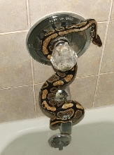 Bath time