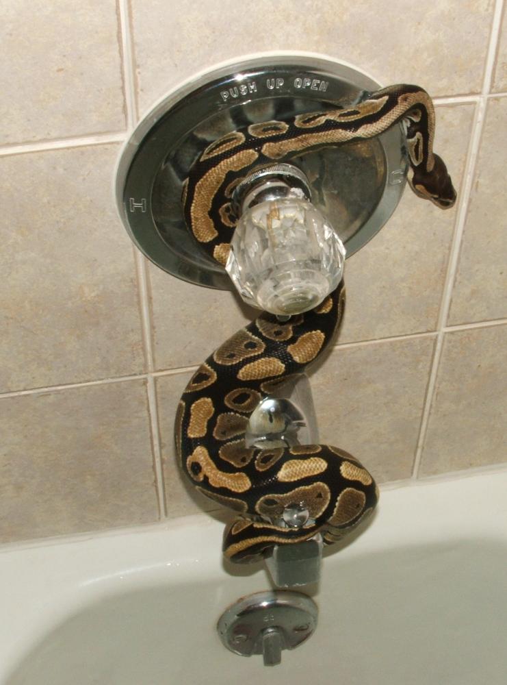 Bath time