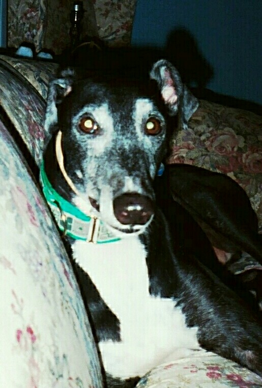 Zak in Summer