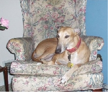 Get your own Chair, Zak!