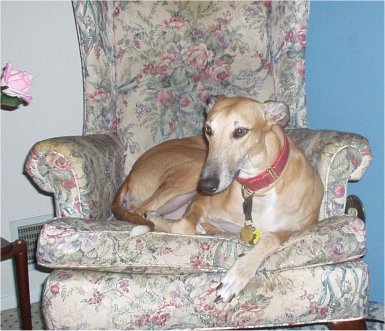 Get your own Chair, Zak!
