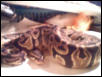 Lab female 1