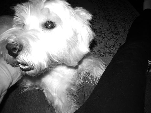 Fergus