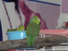 so small