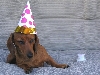 wat a fun filled b-day