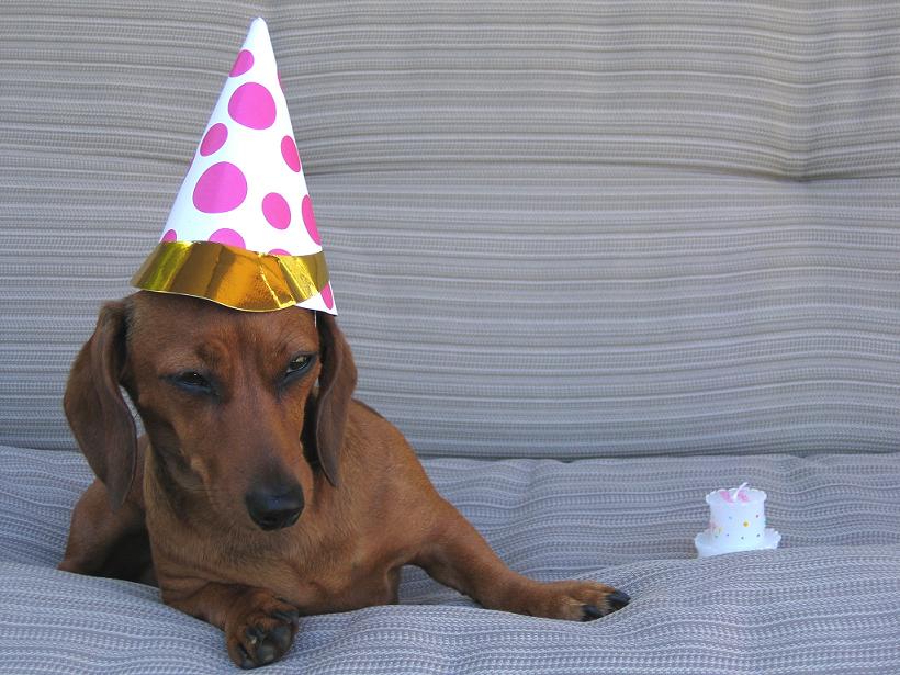 wat a fun filled b-day