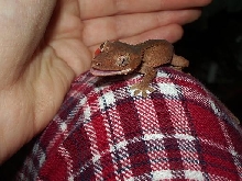 cutest pic