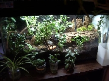 the new setup