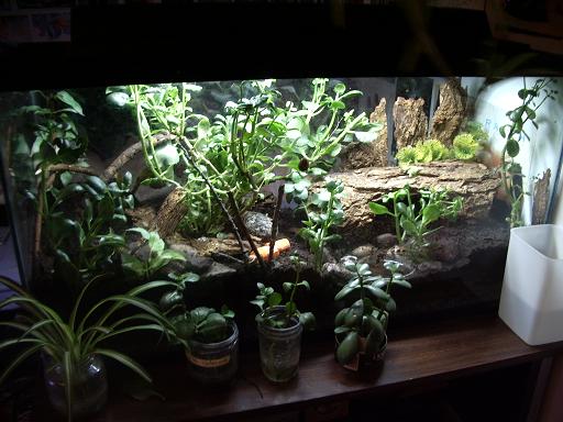 the new setup