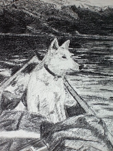dog in canoe