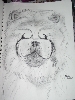 Drawing of a Chow