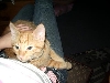 Oliver
