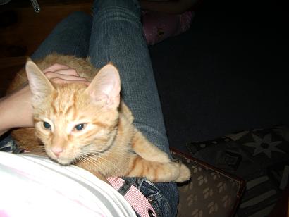 Oliver