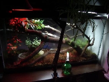 new set up
