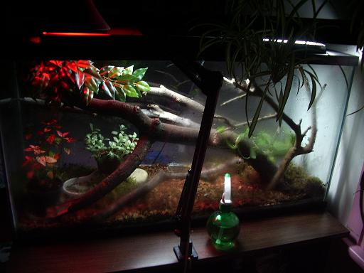 new set up