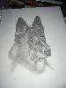 my drawing