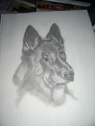 my drawing