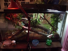 newer...set up