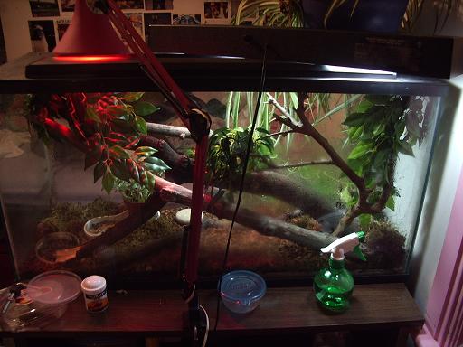 newer...set up