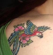 parrot tat