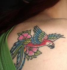 parrot tat