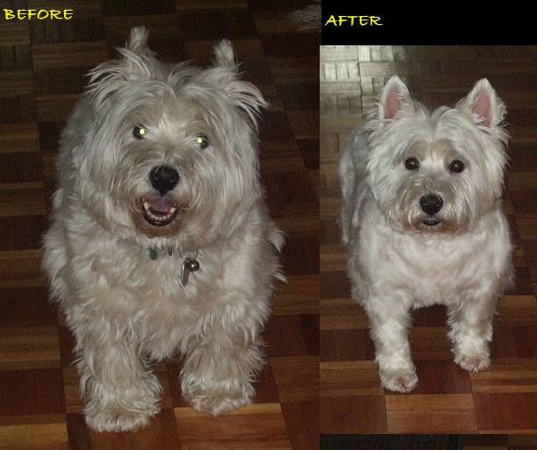 BEFORE AND AFTER