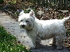 First warm spring day