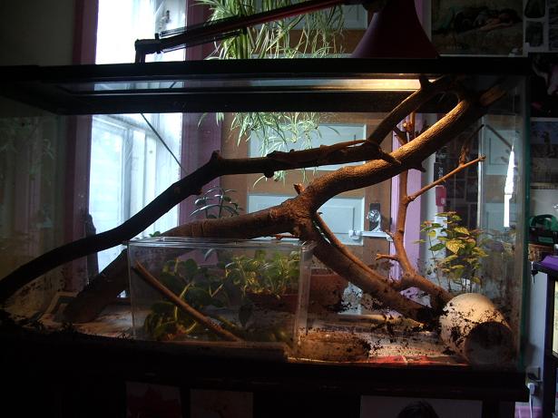 temporary tank