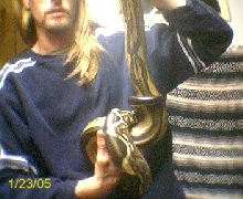 A real true striped boa