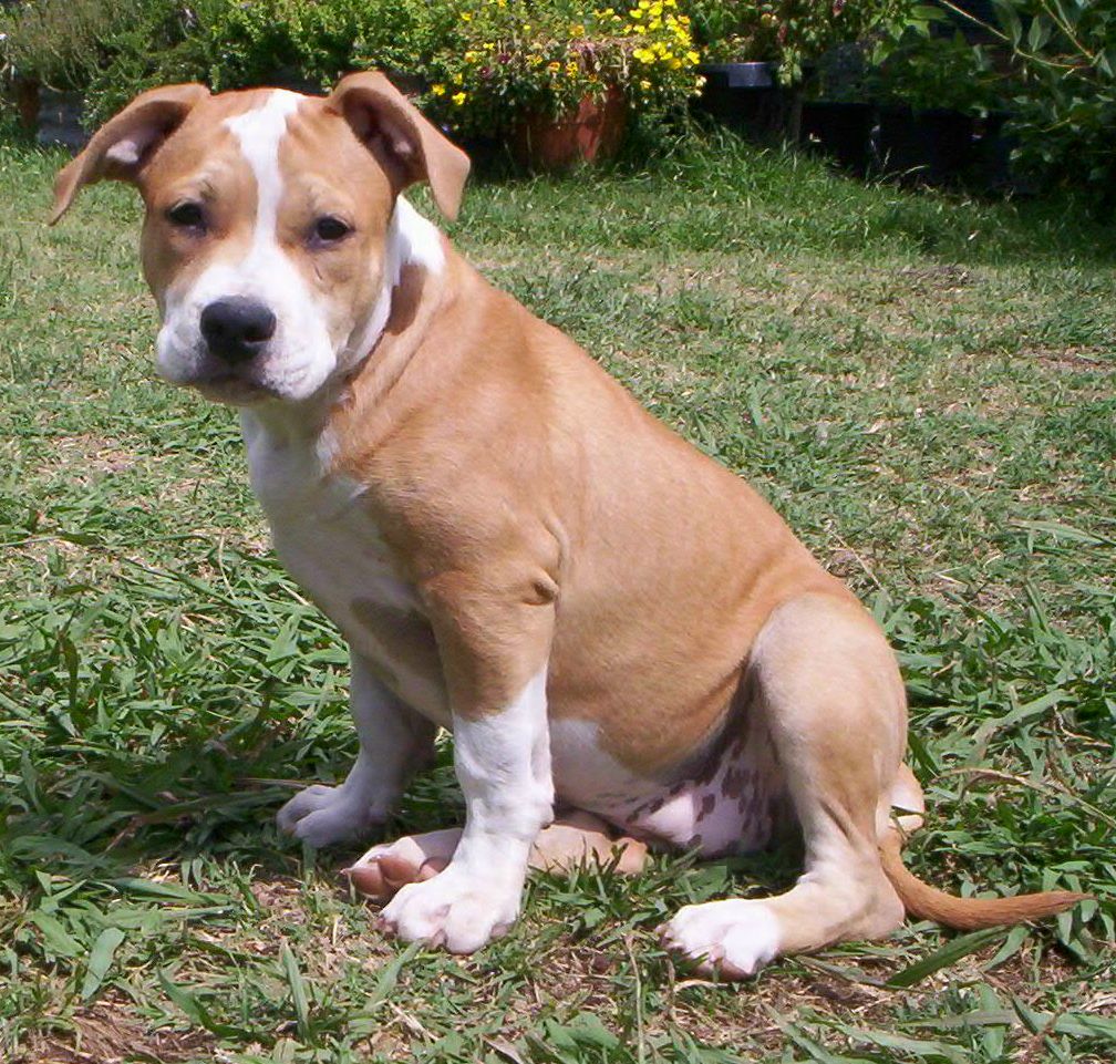 Paris 12 weeks