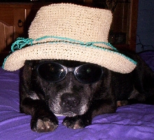 Boof the gardener's friend