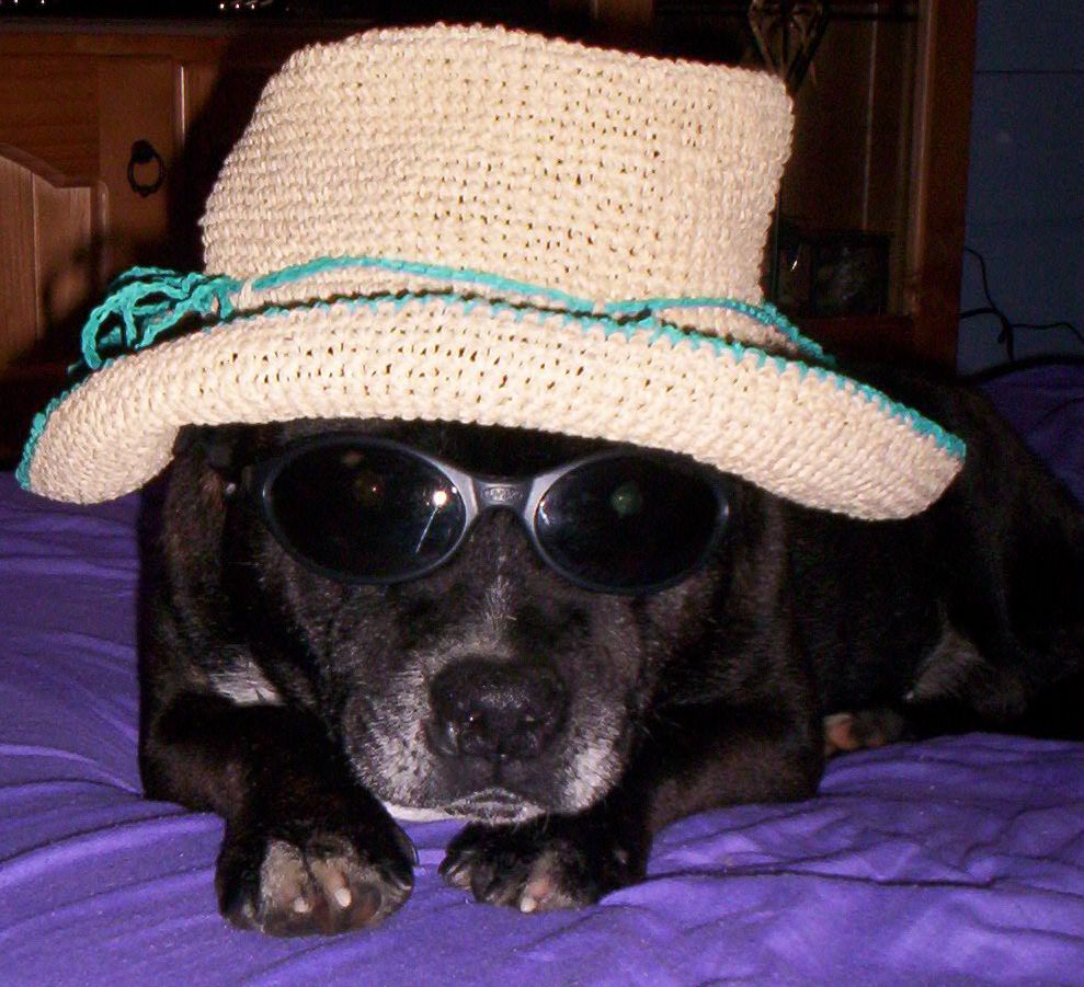 Boof the gardener's friend