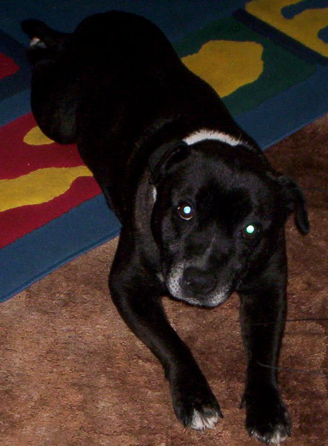 Woofer