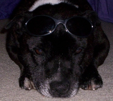 Boof