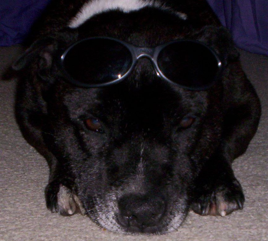 Boof