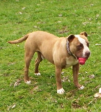 With his Kong