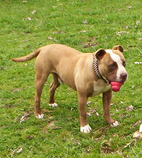 With his Kong