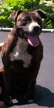 TRIX