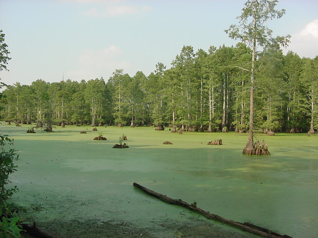 habitat