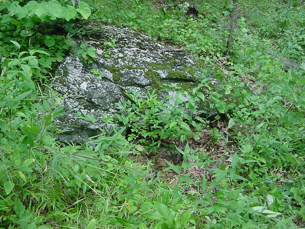 habitat