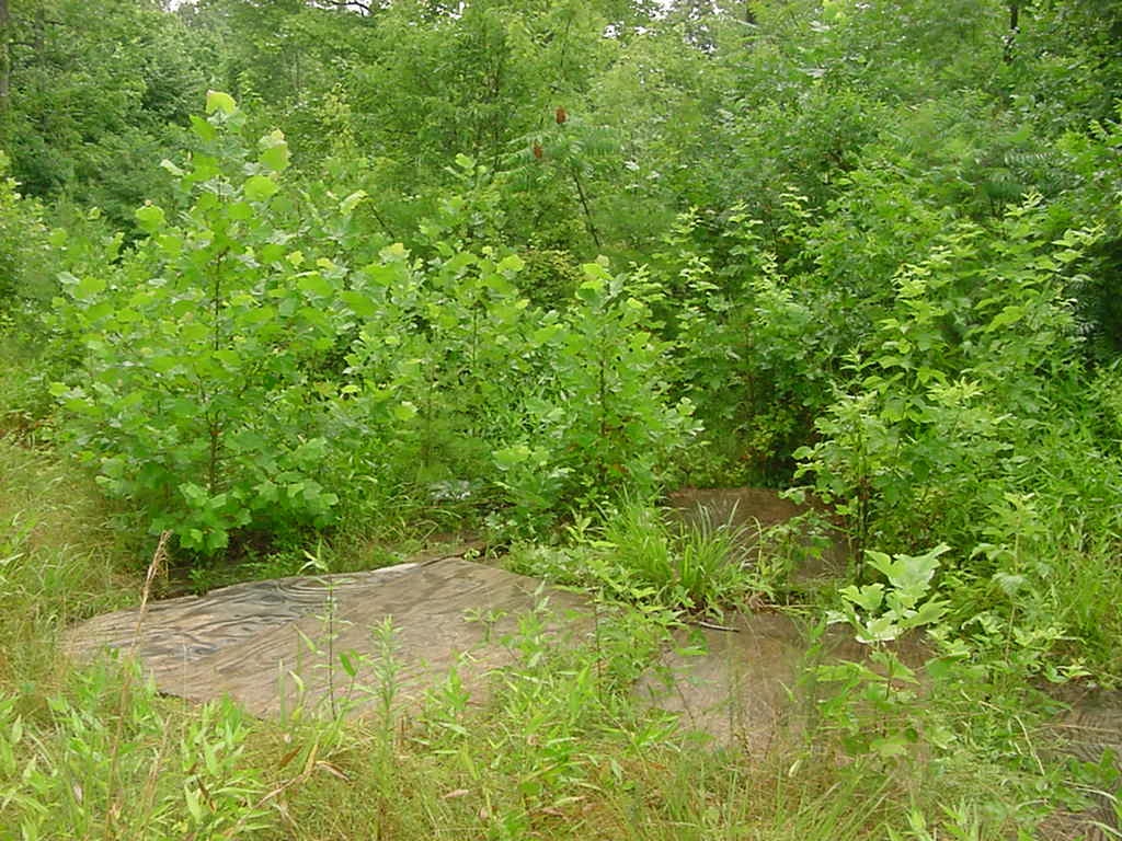 habitat