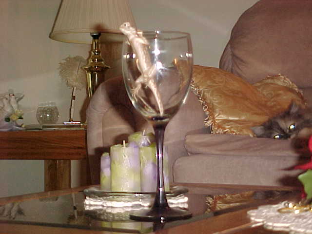 Side view